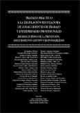 TRATADO PRACTICO A LA LEGISLACION REGULADORA DE LOS ACCIDENT TRATADO PRACTICO A LA LEGISLACION REGULADORA DE LOS ACCIDENT