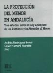 LA PROTECCION DEL MENOR EN ANDALUCIA LA PROTECCION DEL MENOR EN ANDALUCIA