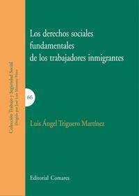 LOS DERECHOS SOCIALES FUNDAMENTALES DE LOS TRABAJADORES... LOS DERECHOS SOCIALES FUNDAMENTALES DE LOS TRABAJADORES...