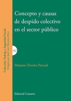 CONCEPTO Y CAUSAS DE DESPIDO COLECTIVO EN EL SECTOR PUBLICO CONCEPTO Y CAUSAS DE DESPIDO COLECTIVO EN EL SECTOR PUBLICO