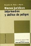 BIENES JURIDICOS INTERMEDIOS Y DELITOS DE PELIGRO BIENES JURIDICOS INTERMEDIOS Y DELITOS DE PELIGRO