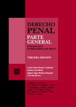 DERECHO PENAL. PARTE GENERAL (3ª ED.)