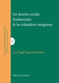 LOS DERECHOS SOCIALES FUNDAMENTALES DE LOS TRABAJADORES INMIGRANTES