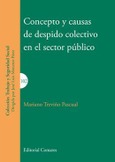 CONCEPTO Y CAUSAS DE DESPIDO COLECTIVO EN EL SECTOR PÚBLICO