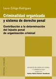 CRIMINALIDAD ORGANIZADA Y SISTEMA DEL DERECHO PENAL