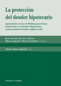 LA PROTECCION DEL DEUDOR HIPOTECARIO